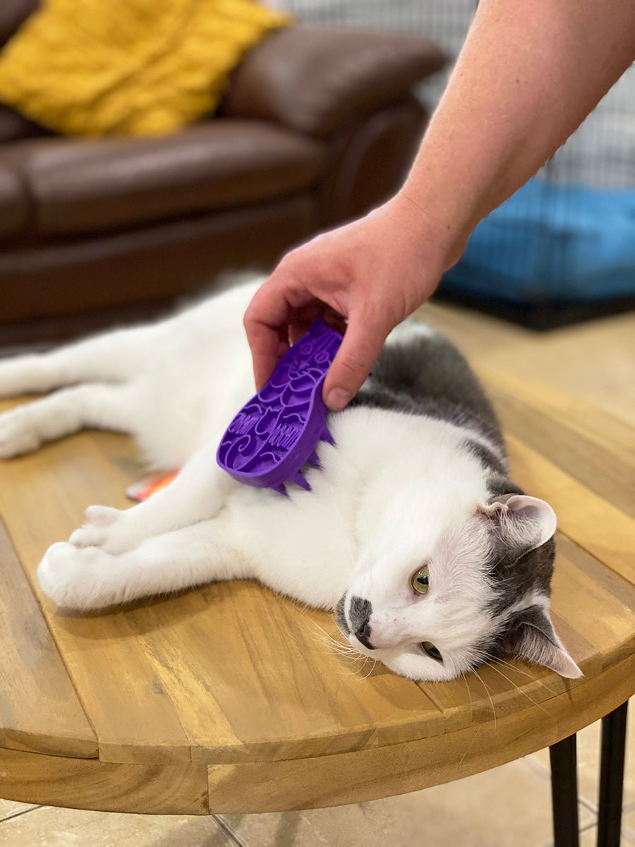 Kong cat zoom clearance groom